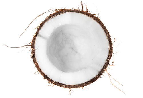 Coconut