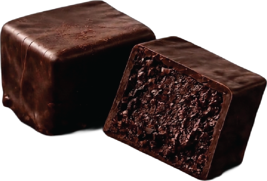 Holy Chocomoly truffle cut in half, showing the dark chocolate shell and ganache